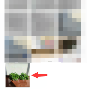 凯叔讲故事怎么更换头像?凯叔讲故事更换头像方法