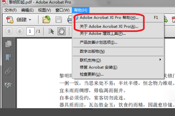 adobe acrobat x pro怎么编辑PDF内容?adobe acrobat x pro编辑PDF方法