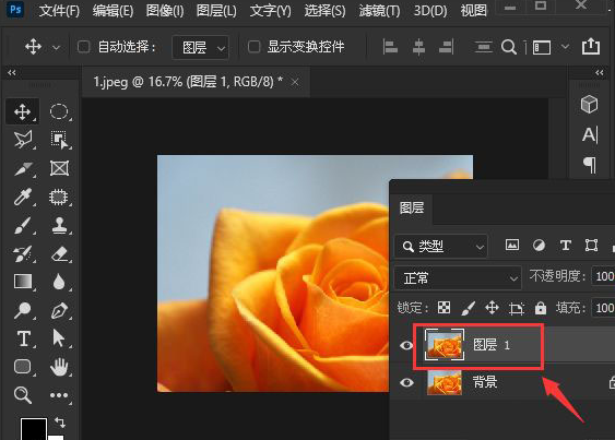 ps图片扭曲效果怎么做？ps添加扭曲玻璃滤镜教程分享