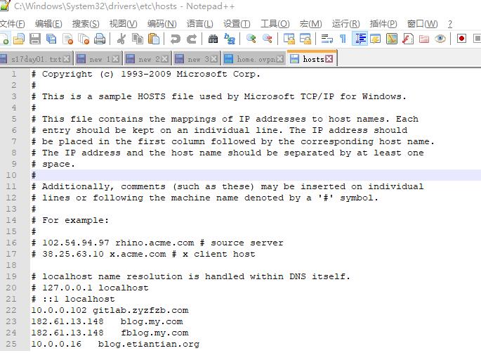 notepad设置菜单按钮样式的操作流程
