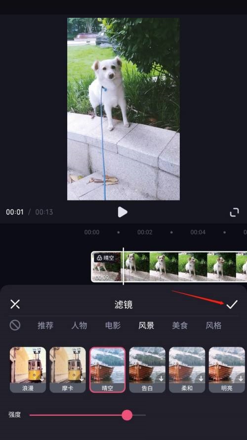 必剪怎么添加滤镜?必剪添加滤镜教程