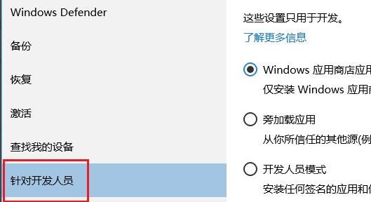 Win11开发人员模式打不开怎么办?Win11开发者预览打开方法