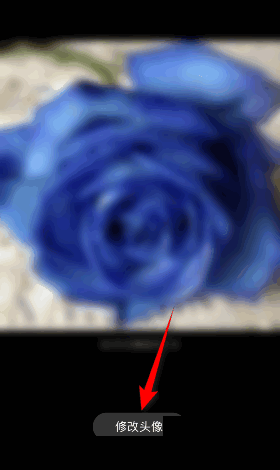 百词斩怎么修改头像?百词斩修改头像教程