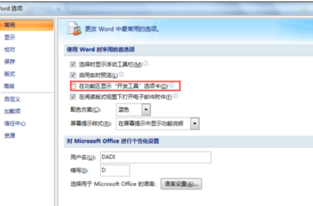 office2007添加开发工具选项卡的操作教程