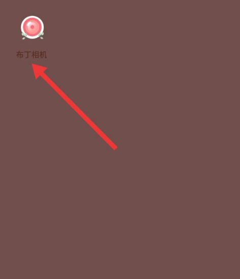 布丁相机怎么设置拍摄照片自动保存 布丁相机快拍模式开启方法