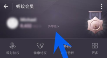 支付宝查看蚂蚁会员积分的简单操作