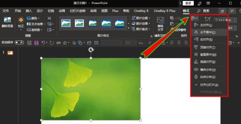 PPT如何插入的图片放到幻灯片中间位置 PPT中插入的图片放到幻灯片正中间位置的操作