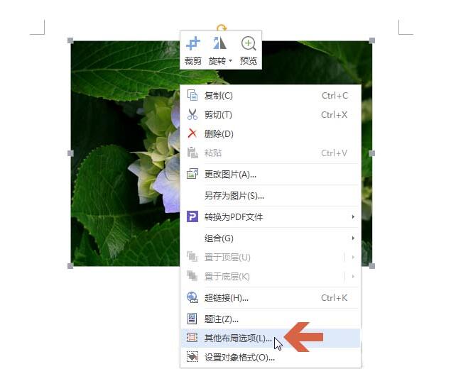 wps图片怎样查看尺寸 wps图片查看尺寸是多少厘米的操作方法