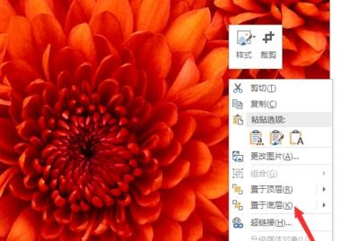 ppt2013编辑图片在文字下方的图文方法