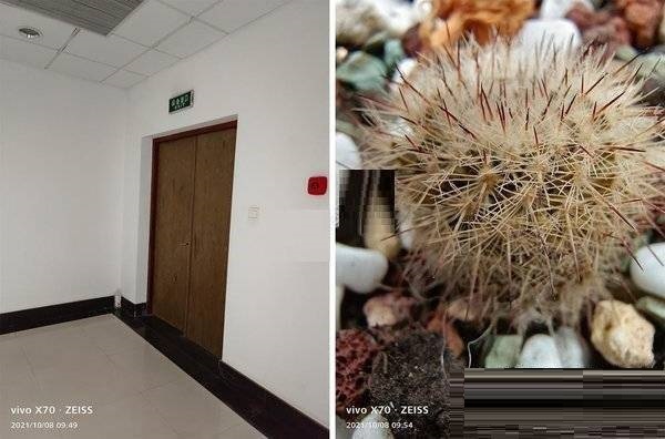 vivoX70t拍照性能好吗?vivoX70t拍照性能详解