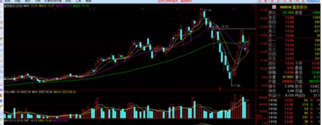 通达信金融终端怎么添加自选股?通达信金融终端添加自选股的教程
