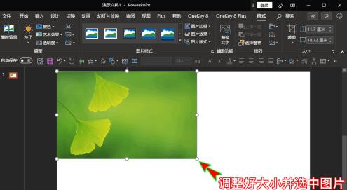 PPT如何插入的图片放到幻灯片中间位置 PPT中插入的图片放到幻灯片正中间位置的操作