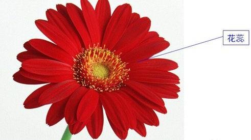 PowerPoint2007中触发器的设置方法步骤