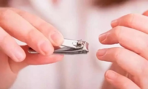 指甲是剪得越短越好吗?支付宝蚂蚁庄园8月10日答案