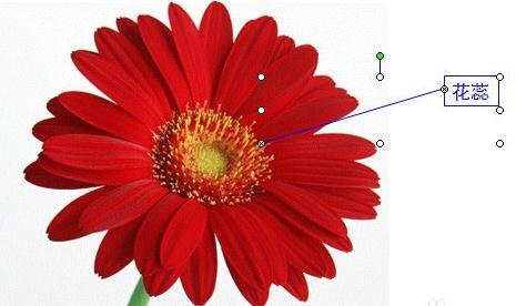 PowerPoint2007中触发器的设置方法步骤