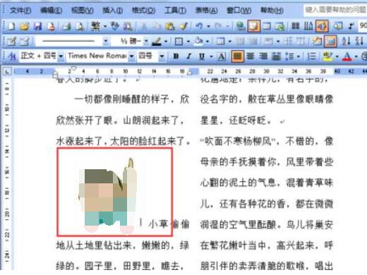 word2003中防止图片移动的设置方法
