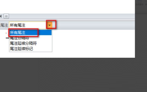 WPS2019怎么删除尾注横线?WPS2019删除尾注横线的方法