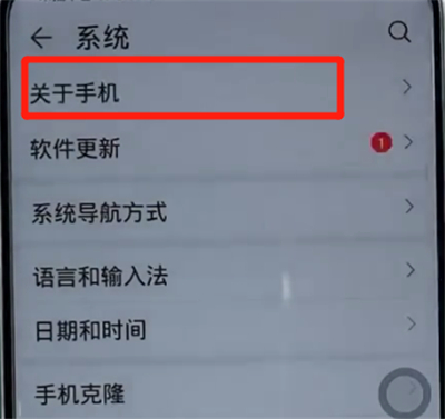 荣耀手机中打开开发者选项的方法步骤
