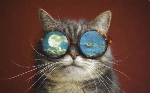 人类有色盲症,那动物中也有色盲吗