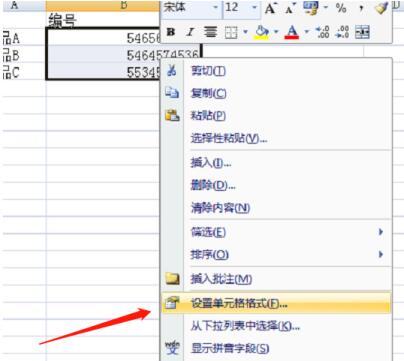 Excel将单元格数据按指定格式显示的操作内容