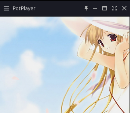 PotPlayer更改徽标的操作教程