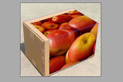 PS给箱子贴上logo的操作流程