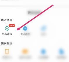 支付宝开通大学公益林的详细方法