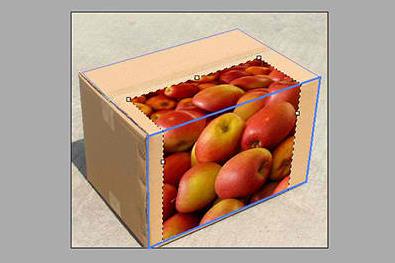 PS给箱子贴上logo的操作流程