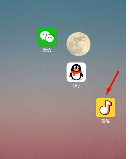 音遇怎么查看充值记录？音遇查看充值记录的步骤方法