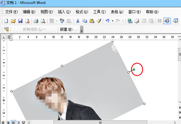 word文档怎么设置图片旋转?word文档设置图片旋转的方法