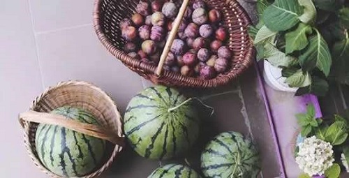 猜一猜,浮甘瓜于清泉沉朱李于寒水,描述的是什么场面