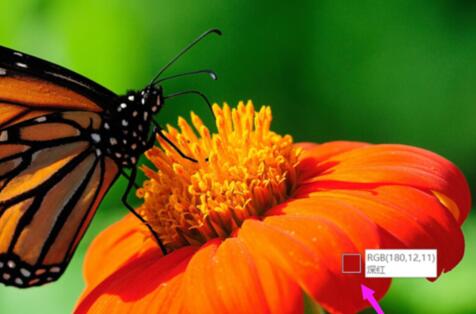 ppt2013取色器使用操作教程