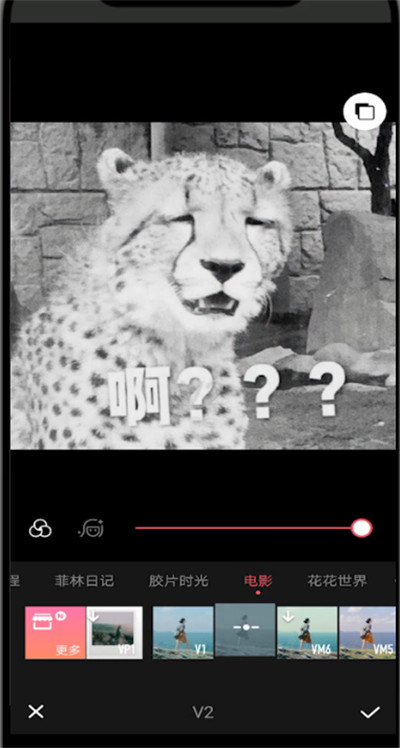 美图秀秀中黑白滤镜的方法步骤