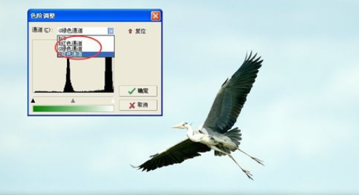 光影魔术手中使用色阶的操作教程