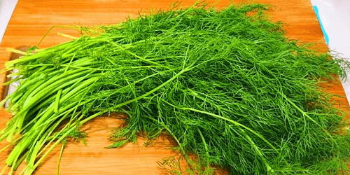 食物不咸不代表没盐,猜猜以下哪种蔬菜含盐量更高