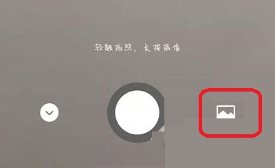 微信如何设置动态背景图？微信状态设置动态背景图教程