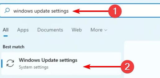 Win11摄像头打不开怎么办?Win11摄像头打不开解决方法