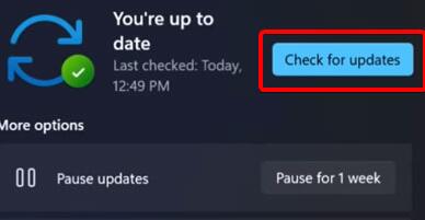 Win11摄像头打不开怎么办?Win11摄像头打不开解决方法