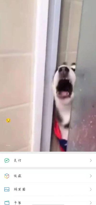 微信如何设置动态背景图？微信状态设置动态背景图教程