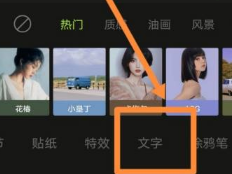 醒图怎样添加竖排文字?醒图添加竖排文字步骤