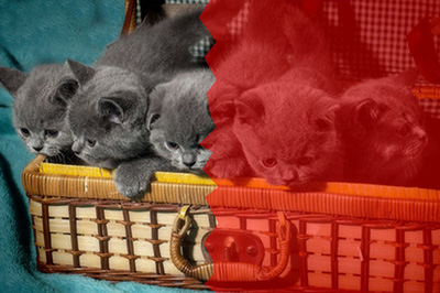 Photoshop制作照片撕裂效果的详细操作流程