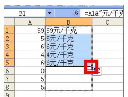 excel2007批量添加前缀或后缀的详细教程
