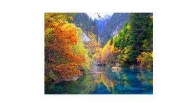 PPT幻灯片设置点击同一位置出现不同图片的方法步骤