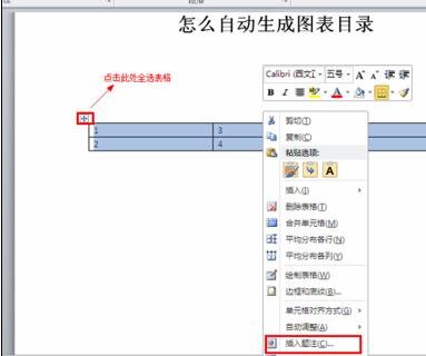 word 2010自动生成图表目录的操作步骤