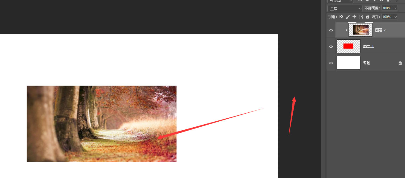 Photoshop怎么制作矩形形状图片 Photoshop制作矩形形状图片的方法