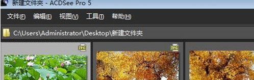 ACDSee快速浏览图片文件夹的简单操作方法