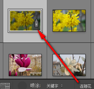Lightroom为照片添上关键字的具体教程