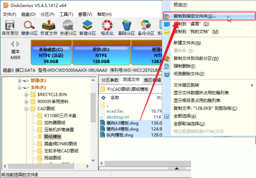 diskgenius怎么将分区中的文件复制到指定目录?diskgenius将分区中的文件复制到指定目录方法