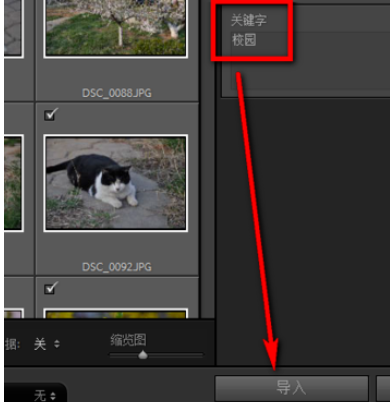 Lightroom为照片添上关键字的具体教程