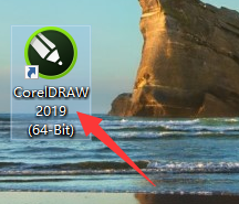 CorelDraw2019如何导入高品质图像?CorelDraw2019导入高品质图像的方法